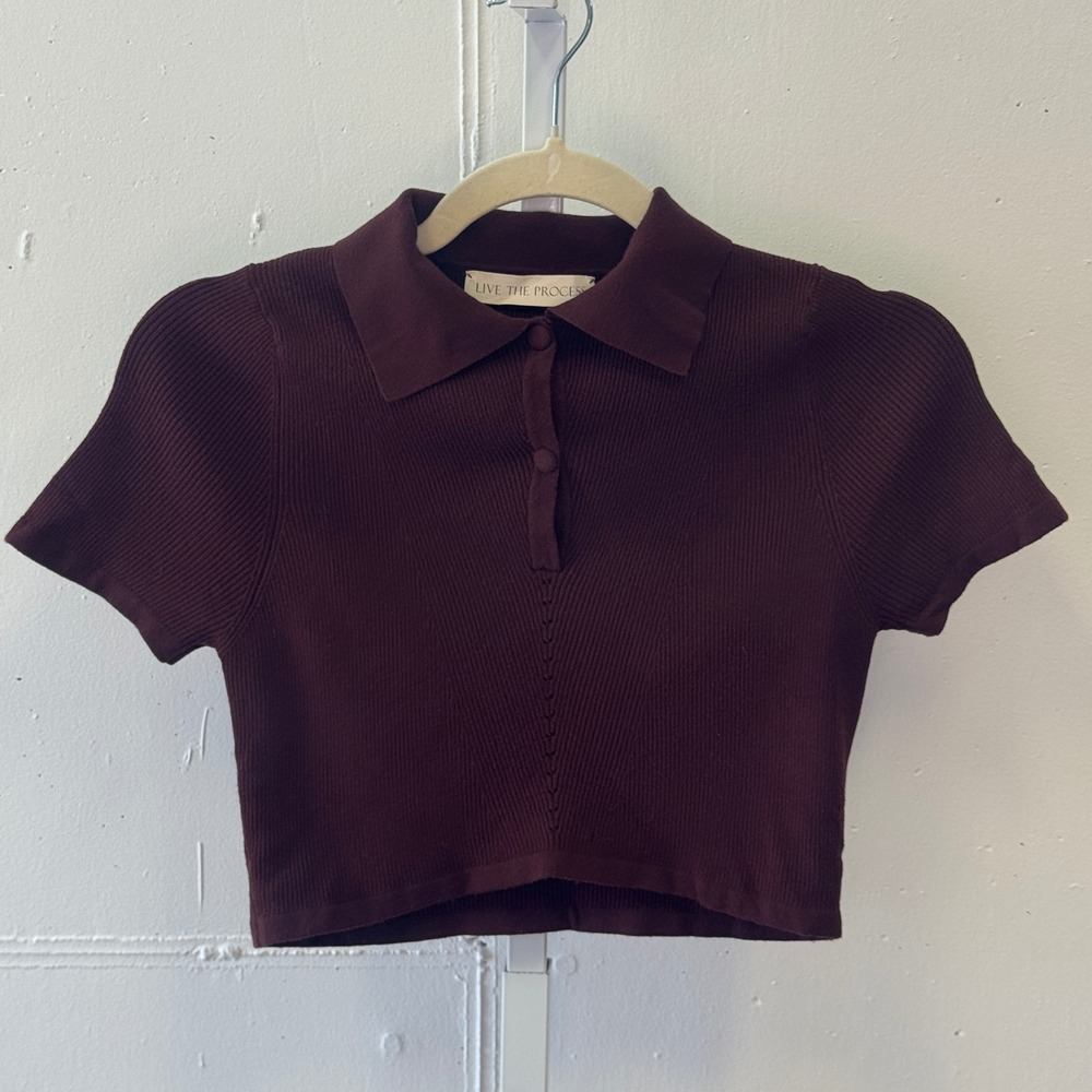 Live The Process Ribbed Knit Polo Crop Top Burgundy Brown Short Sleeve Shirt XS